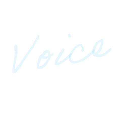 voice